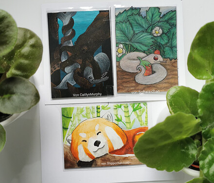 STA-paper-challenge-Rückbrief2021