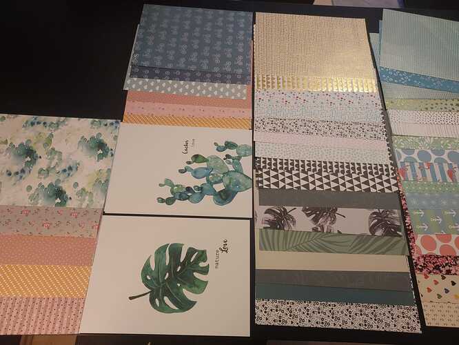 WhatsApp Image 2025-03-09 at 11.10.12 (1)