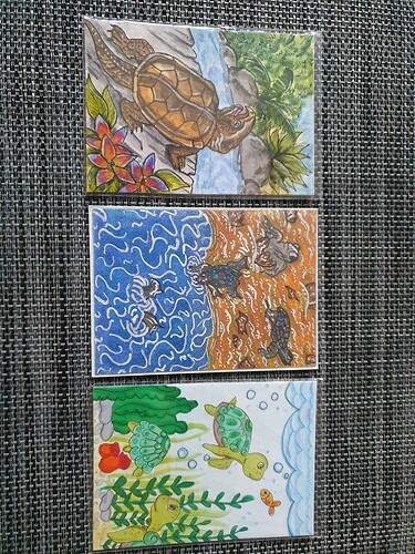 16101791434257828328488586098175