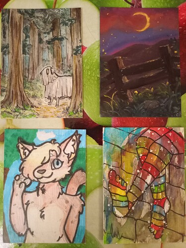 IMG_20221208_220825_731