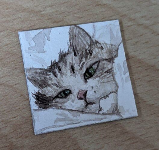 IMG_20221205_095242_322