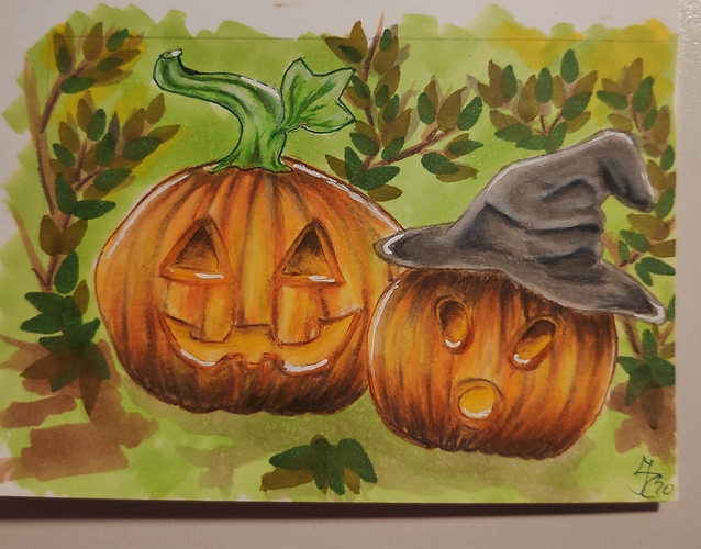 IMG_20201029_161205_1