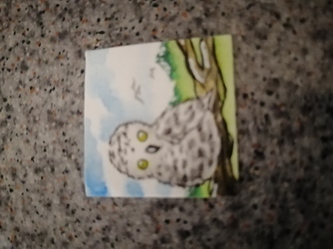 IMG_20201207_0512281