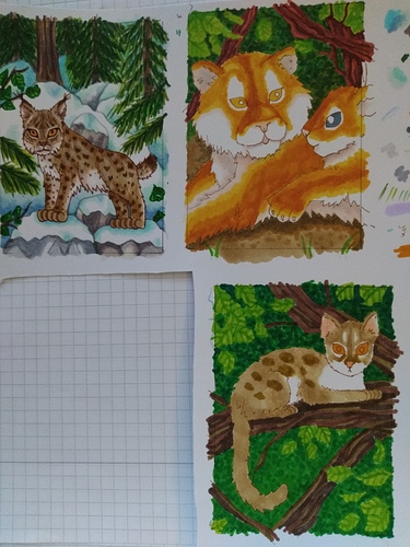 IMG_20200628_184721307