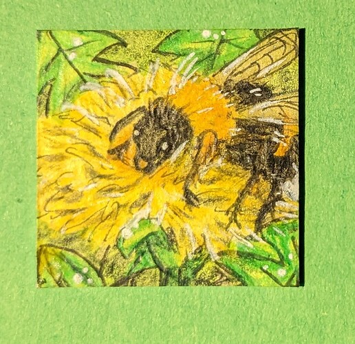 PXL_20221208_075105358