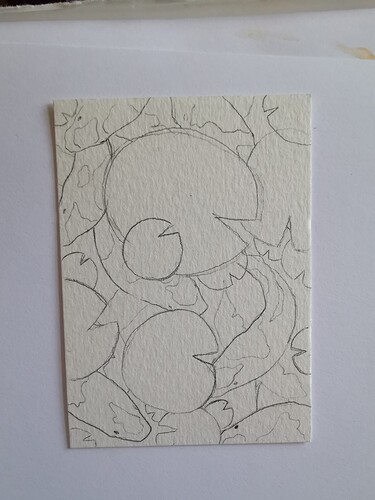 IMG_20230221_135838_edit_170540811916162