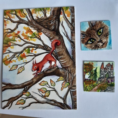 16666192411846189020792634053817