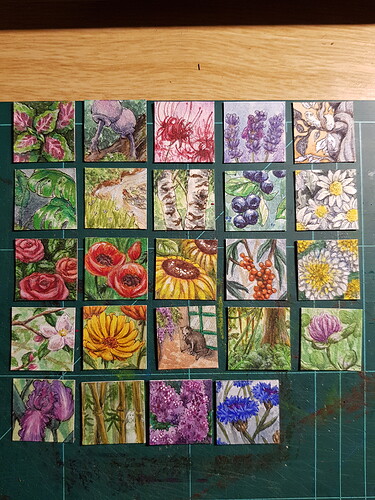 16684668129548714309381242067085