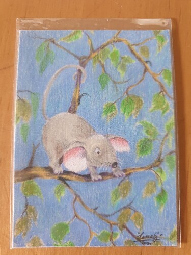 photo_2021-07-12_18-09-09