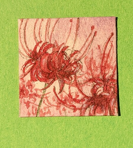 PXL_20221206_052435828