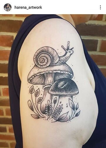 Screenshot_20240730-150435_Instagram