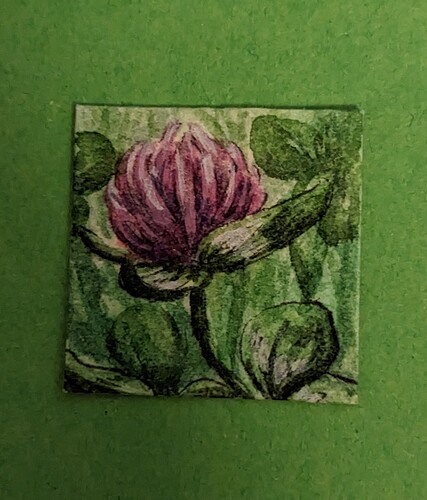 PXL_20221214_161028240