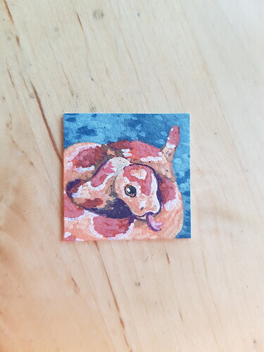 16713512654821271347004232372811