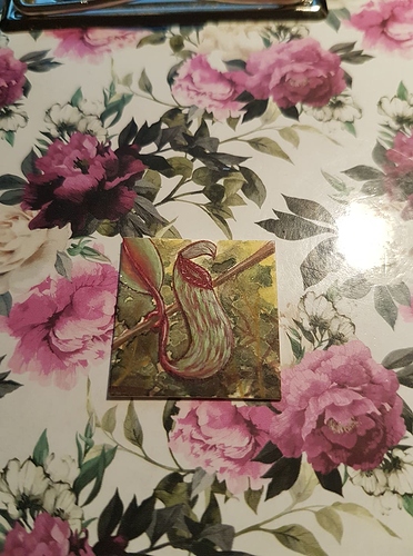 131431061_437721580966933_9097218445442143546_n