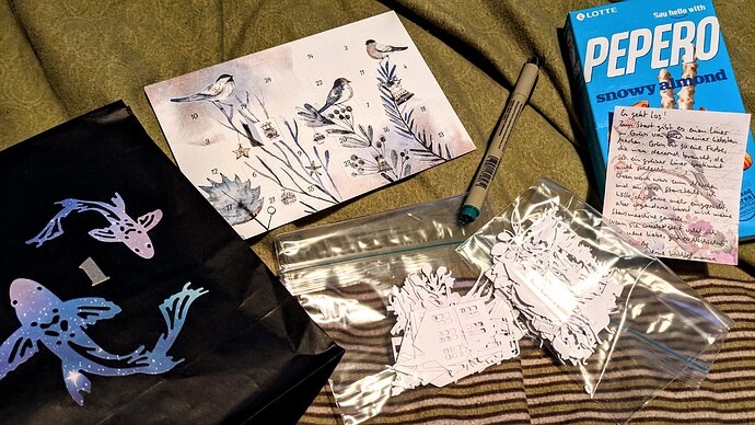 PXL_20241201_154005958