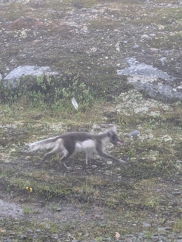 PXL_20240703_184707238.MP