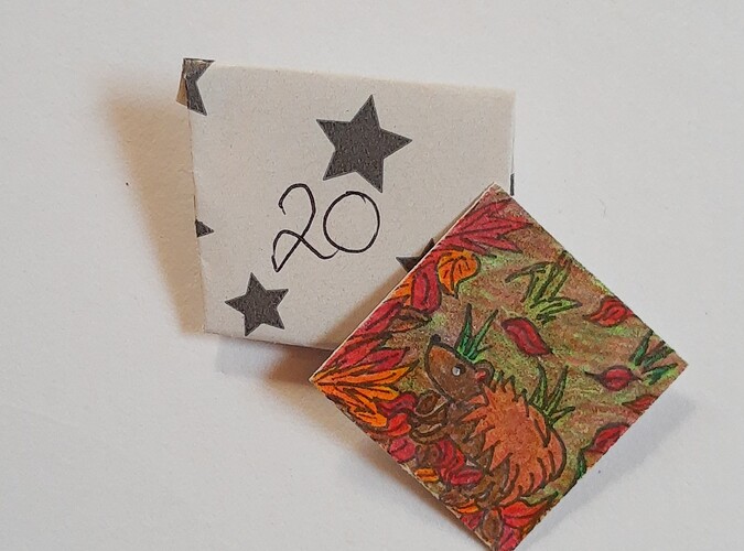 IMG_20211220_135907994