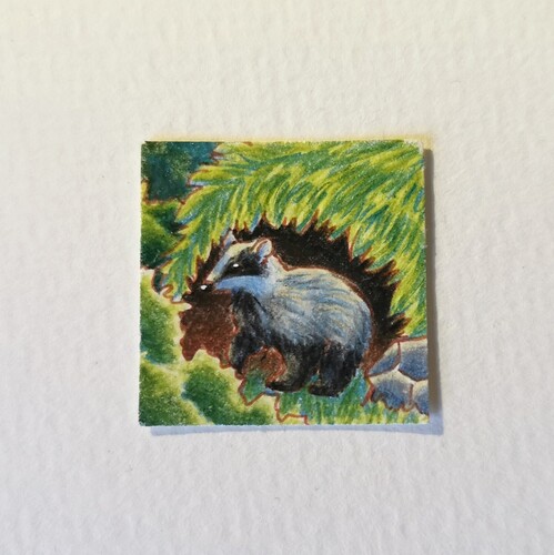 IMG_20231201_150138_edit_64232368399051