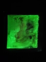 IMG_20211212_0603491