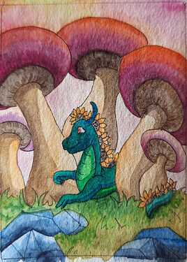 WhatsApp Image 2025-08-31 at 16.28.17