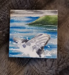 IMG_20241209_110930_edit_326759778991285