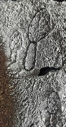 IMG_20230901_120800_edit_5814869251635619