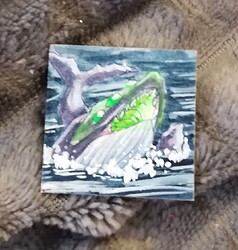 IMG_20241209_110943_edit_326770409758991