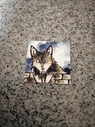 IMG_20201222_0446461