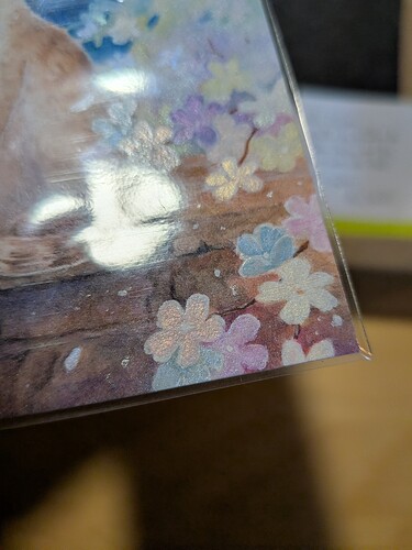 PXL_20251212_103330594.MACRO_FOCUS.MP