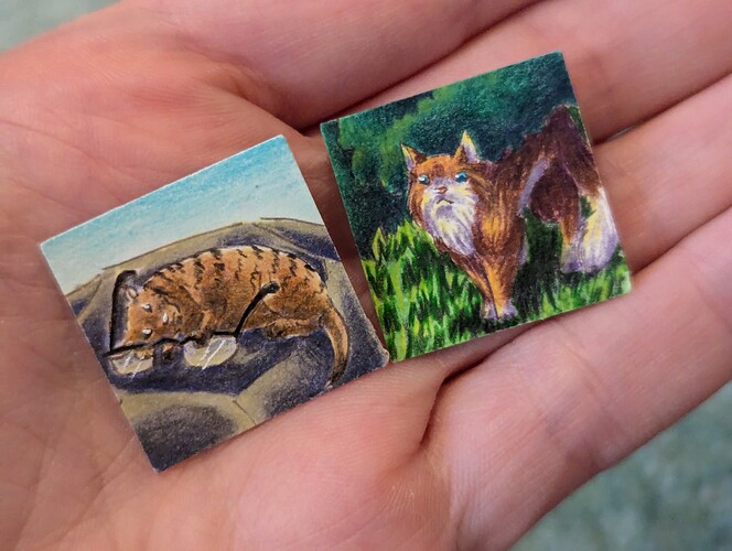 PXL_20241208_073807503