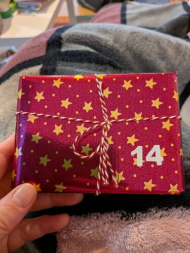 PXL_20251214_071838831