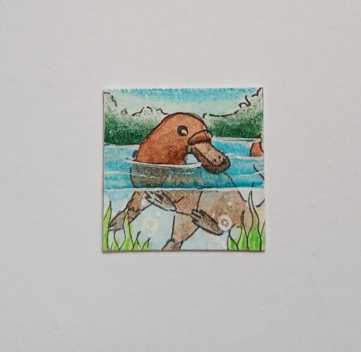 IMG_20211202_135956720