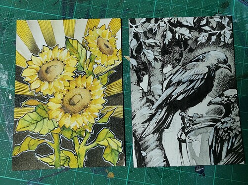 IMG_20240403_204340_1_edit_80442099064807