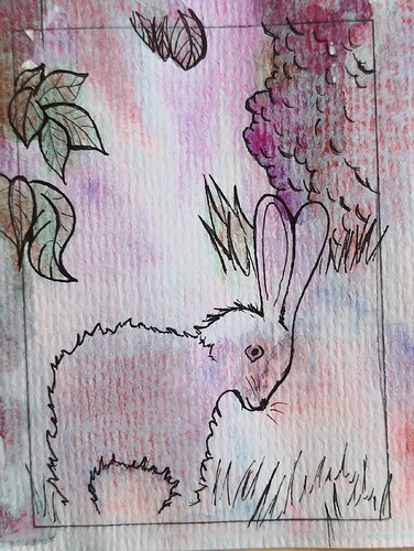 IMG_20240721_181750_edit_2294382877547813