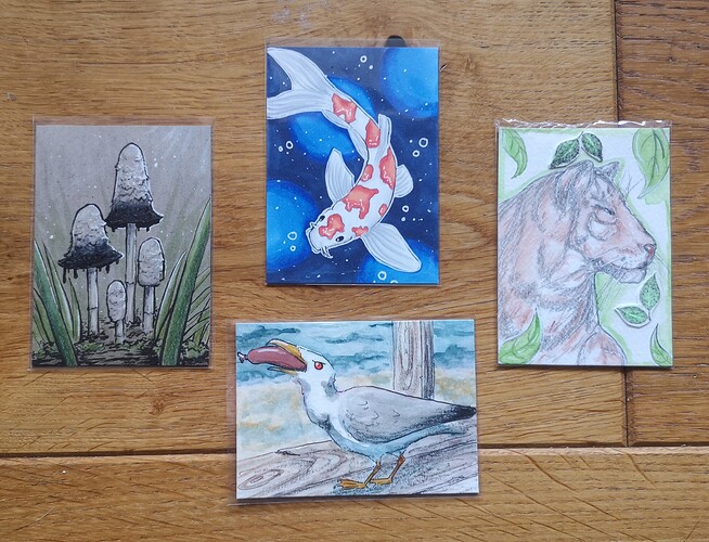 IMG_20240216_142912_edit_704947556072637