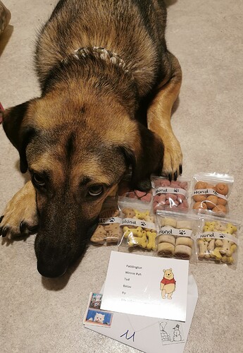 IMG_20211211_111521_edit_27911916620219