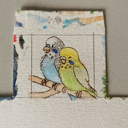 IMG_20241019_155752_edit_425522519806422