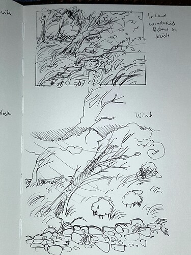 20220323_211306_resized