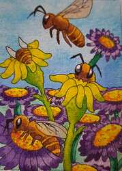 WhatsApp Image 2024-02-25 at 19.10.34