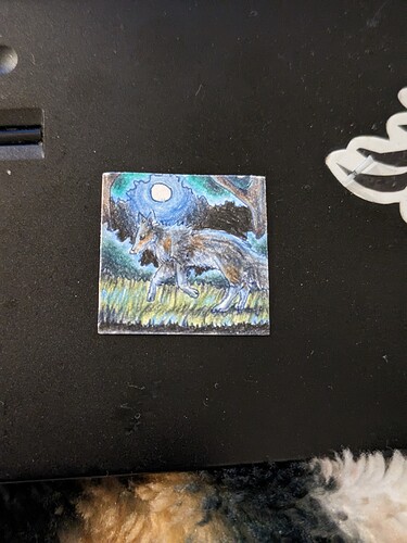 PXL_20231201_050522797.PORTRAIT.ORIGINAL