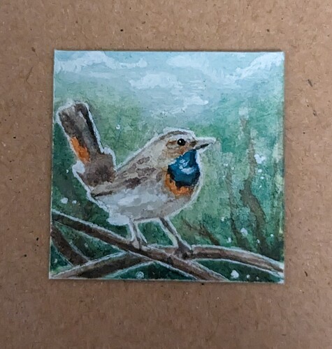 PXL_20221214_061912229