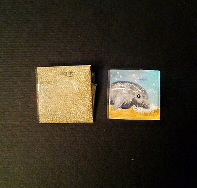 IMG_20211215_124019~2