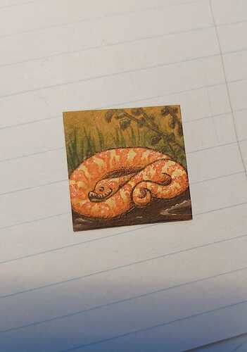 WhatsApp Bild 2022-12-25 um 14.47.53