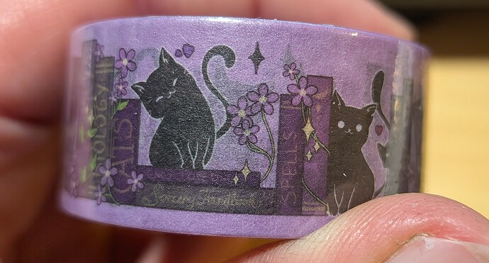 PXL_20251220_200354905.NIGHT~2