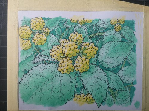 IMG_20230331_101307_edit_549238027007335