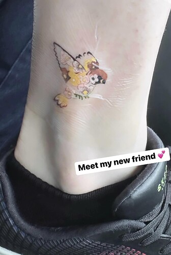 321441769_694677915662357_7358555226759297037_n