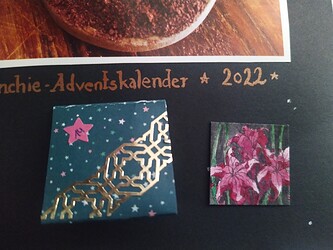 IMG_20221221_115541_4