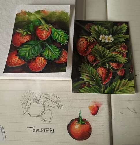 IMG_20240221_145125_149~2