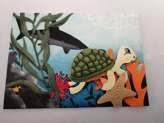 IMG_20210512_1324531