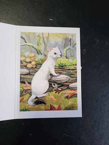 404056171_1553088902188089_9021191128778055615_n